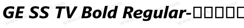 GE SS TV Bold Regular字体转换